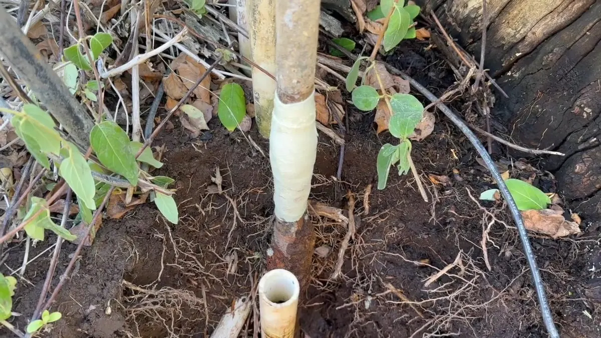Service line pipe being replaced near the foundation for Pennsylvania American Water Lead Service Line Program: A Pottstown Homeowner's Guide in Pottstown, PA